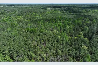 475 Cherokee Trail, Lovelady, TX 75851 - Photo 6