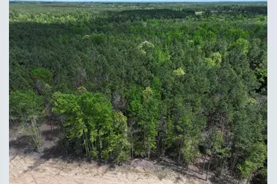 475 Cherokee Trail, Lovelady, TX 75851 - Photo 4