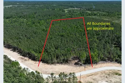 475 Cherokee Trail, Lovelady, TX 75851 - Photo 1