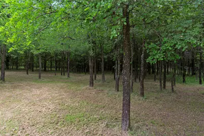 64005 N State Hwy 289, Pottsboro, TX 75076 - Photo 6