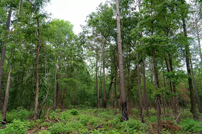 2365 Cr 152, Carthage, TX 75633 - Photo 40