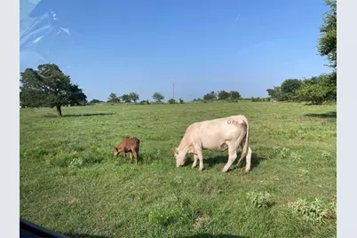 Pr 114 Pr 114, Covington, TX 76636 - Photo 4