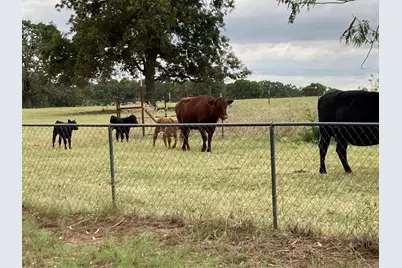 Pr 114 Pr 114, Covington, TX 76636 - Photo 12