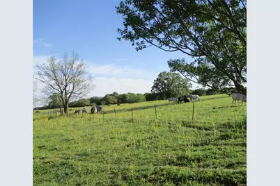 Pr 114 Pr 114, Covington, TX 76636 - Photo 6