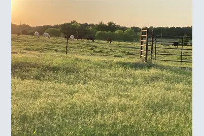 Pr 114 Pr 114, Covington, TX 76636 - Photo 2