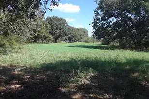 Pr 114 Pr 114, Covington, TX 76636 - Photo 1