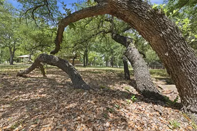 1528 Tidwell Road, Brock, TX 76087 - Photo 36