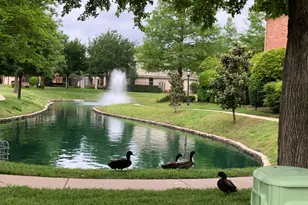 648 Laketrail Dr, Richardson, TX 75081 - Photo 2