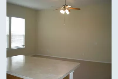 112 Birdbrook Drive, Anna, TX 75409 - Photo 4