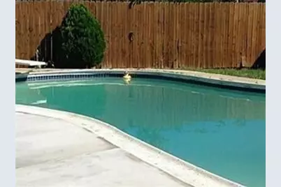 5228 Runyon Drive, The Colony, TX 75056 - Photo 2