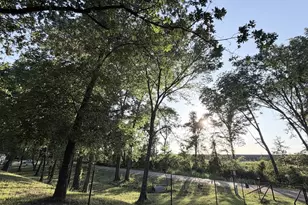 17100 Co Rd 329, Terrell, TX 75161 - Photo 2