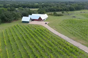 25270 State Hwy 6, Hico, TX 76457 - Photo 1