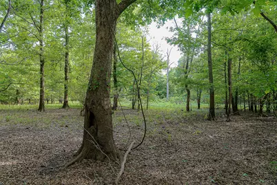 00 Off Of Farm To Market Road 2064, Troup, TX 75789 - Photo 30