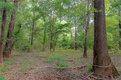 00 Off Of Farm To Market Road 2064, Troup, TX 75789 - Photo 34