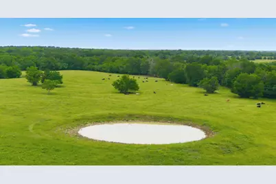 7635 County Road 4209, Campbell, TX 75422 - Photo 8