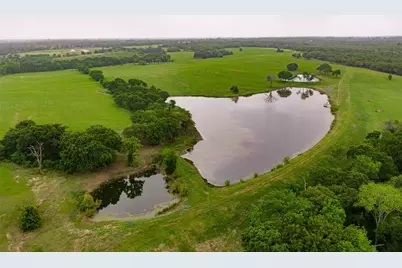 5531 NE County Road 3130, Kerens, TX 75144 - Photo 1