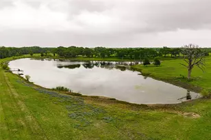 5531 NE County Road 3130, Kerens, TX 75144 - Photo 2