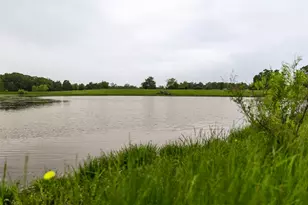 5531 NE County Road 3130, Kerens, TX 75144 - Photo 12