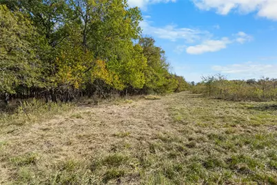 Tbd Fm 1528, Cooper, TX 75432 - Photo 16