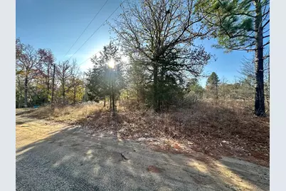Lot 529 Hickory Lane, Mineola, TX 75773 - Photo 6