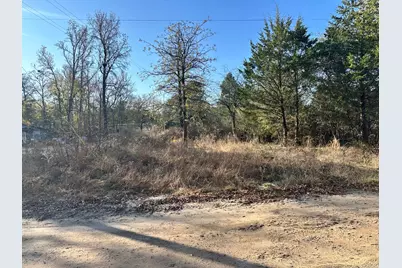 Lot 529 Hickory Lane, Mineola, TX 75773 - Photo 2