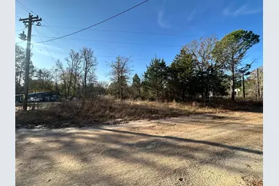 Lot 529 Hickory Lane, Mineola, TX 75773 - Photo 4
