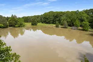 6111 Co Rd 2610, Bonham, TX 75418 - Photo 12