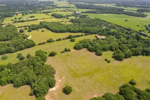 6111 Co Rd 2610, Bonham, TX 75418 - Photo 38