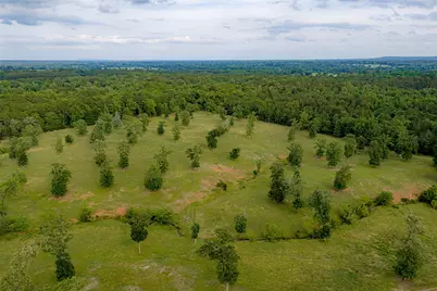 1114 County Road 1512, Jacksonville, TX 75766 - Photo 38