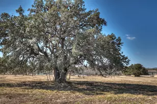 405 C N Frio St, Camp Wood, TX 78833 - Photo 32