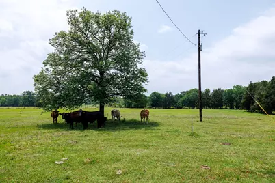 6100 Fm 314, Ben Wheeler, TX 75754 - Photo 2