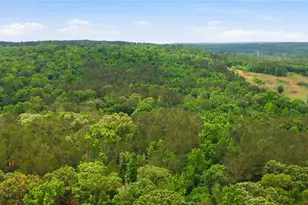 2287 Co Rd 3402, Bullard, TX 75757 - Photo 34