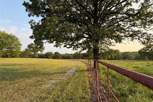 573 County Rd 3592, Paradise, TX 76073 - Photo 32