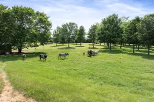 7401 County Rd 1204, Cleburne, TX 76031 - Photo 40