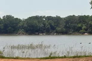 714 Co Rd 463, Eastland, TX 76448 - Photo 4