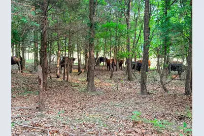 000 County Road 4520, LaRue, TX 75770 - Photo 28