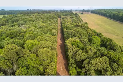 000 County Road 4520, LaRue, TX 75770 - Photo 16