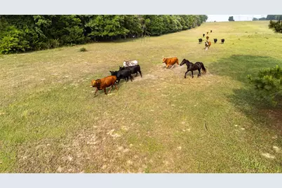 000 County Road 4520, LaRue, TX 75770 - Photo 14
