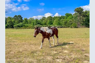 000 County Road 4520, LaRue, TX 75770 - Photo 20