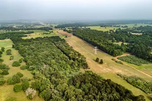000 County Road 4520, LaRue, TX 75770 - Photo 1