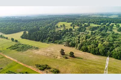 000 County Road 4520, LaRue, TX 75770 - Photo 8