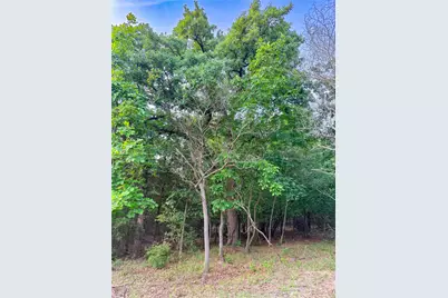 000 County Road 4520, LaRue, TX 75770 - Photo 30