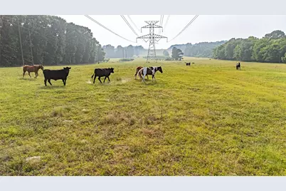 000 County Road 4520, LaRue, TX 75770 - Photo 12