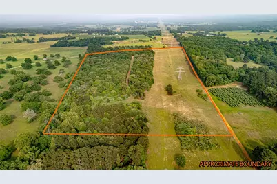 000 County Road 4520, LaRue, TX 75770 - Photo 6