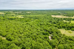 4180 E Fm 2210 E, Perrin, TX 76486 - Photo 6