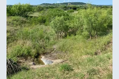 Lot 203 Evening Primrose Drive, Possum Kingdom Lake, TX 76449 - Photo 4