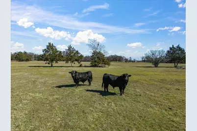 11095 E State Highway 31, Kerens, TX 75144 - Photo 20