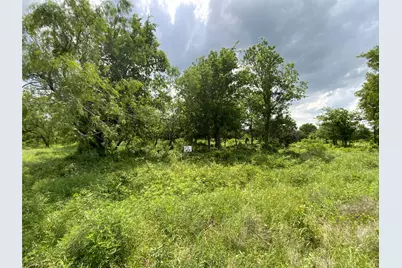 Lot 29 Twisted Creek Drive, Gustine, TX 76455 - Photo 24