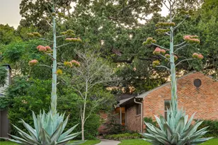 1513 Cedar Hill Ave, Dallas, TX 75208 - Photo 6