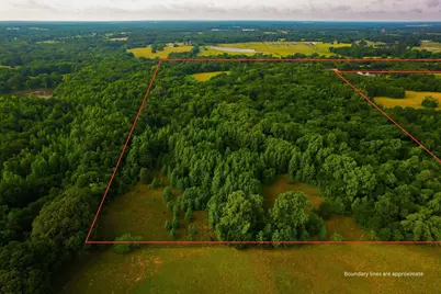 943 County Road 2439, Sulphur Springs, TX 75482 - Photo 6